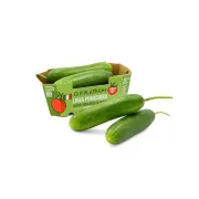 Nickel-Free Snack Cucumber