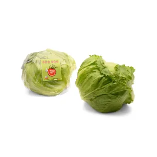 laitue Iceberg nickel free