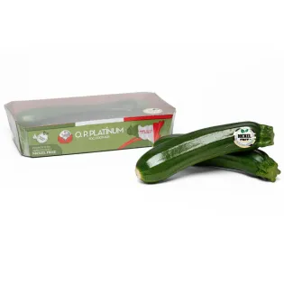 Courgette Verte