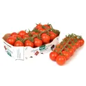Tomate Cherry Sin Níquel
