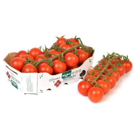 Tomate Cherry Sin Níquel