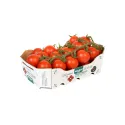 Tomate Cherry Sin Níquel
