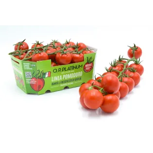 tomates cherry nickel-free