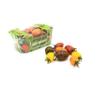 mix de tomates datterino