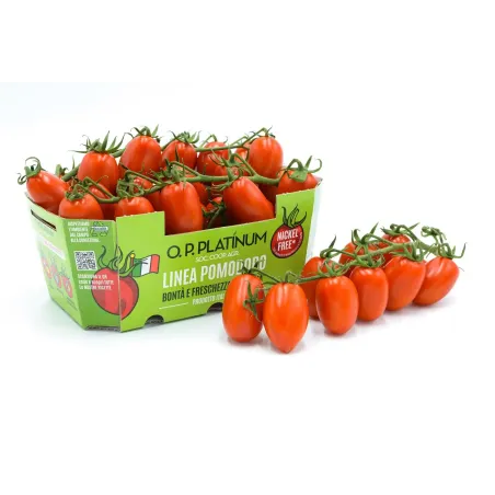 Nickel-Free Datterino Tomato