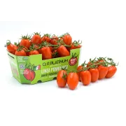 Tomate Datterino Rouge