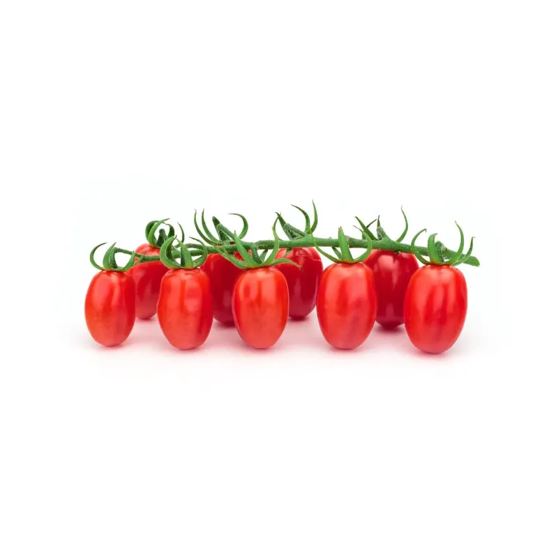 Datterino-Tomate Nickel Free