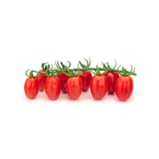 Datterino-Tomate Nickel Free