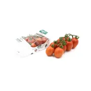 Tomate Piccadilly