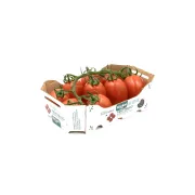 Tomate Piccadilly