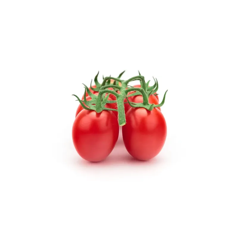 Tomate Piccadilly