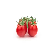 Tomate Piccadilly