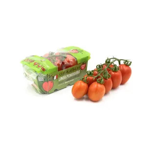 Tomate Piccadilly