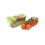 Tomate Piccadilly Nickel-Free
