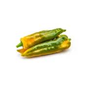 Sweet Palermo Nickel-Free Pepper Sweet Palermo Nickel-Free Pepper