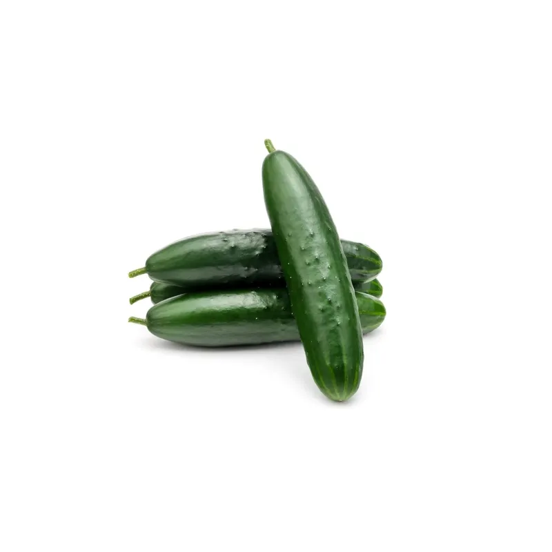 Nickel-Free Cucumber